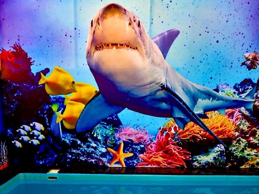 ディマーゴ ホテル プレヤデルカーメン エクステリア 写真